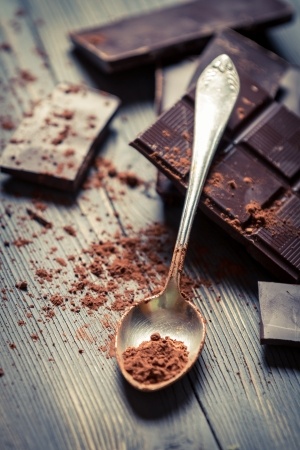 Notes from a Portland Acupuncturist: Chocolate Love